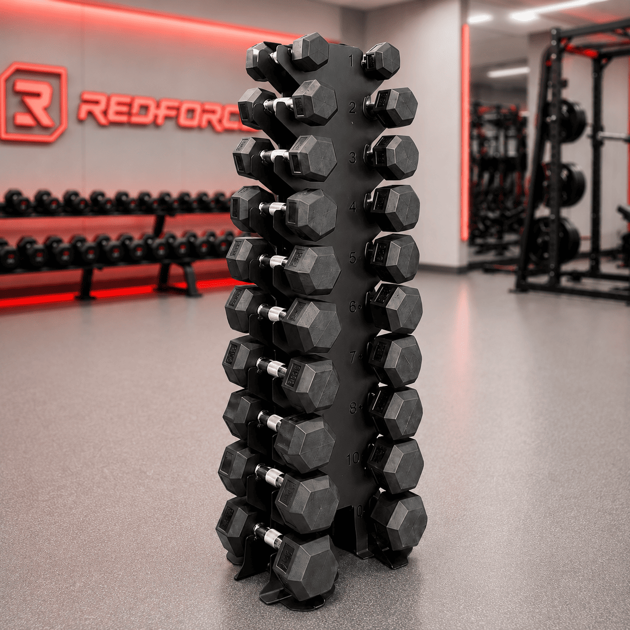 Kit Halter Sextavado Injetado Pegada Cromada 1kg a 10kg com Suporte RedForce